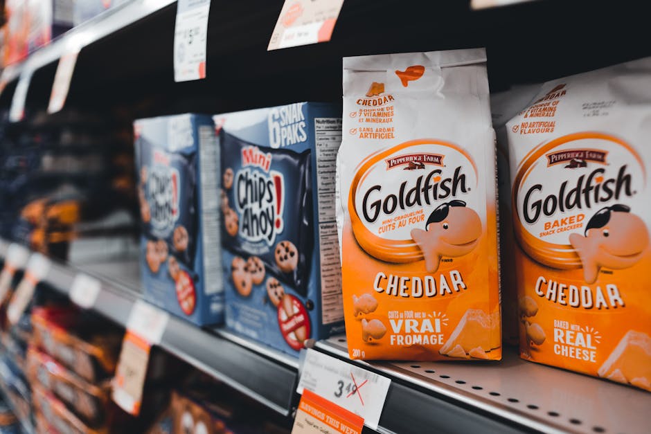 Where to Stock Up: Grocery & Essentials for Your First Day